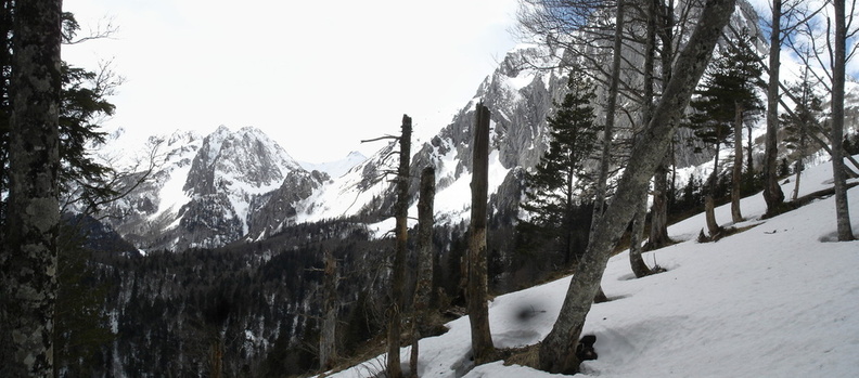 Panorama 4.JPG