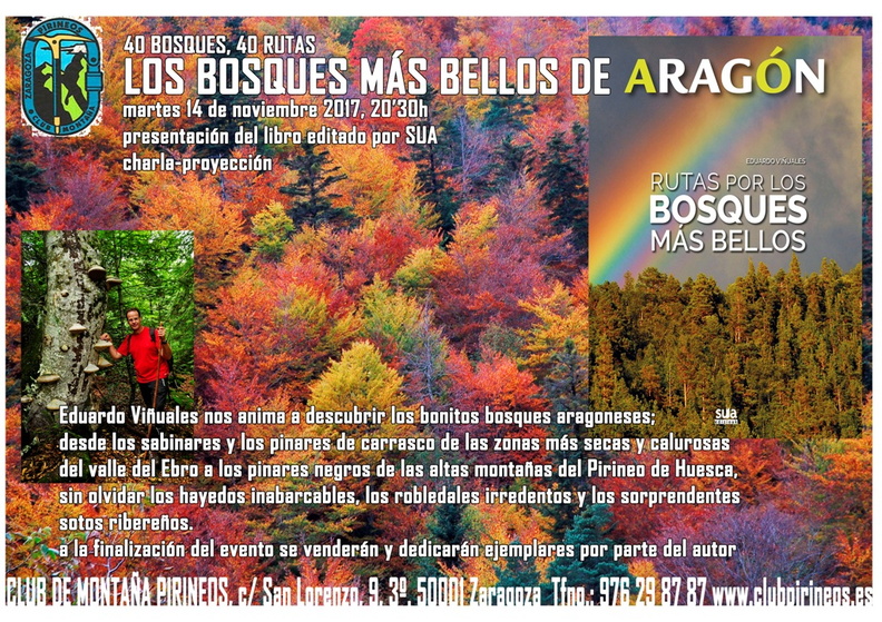 mini bosques más bellos Edu Viñuales 14 noviembre.jpg