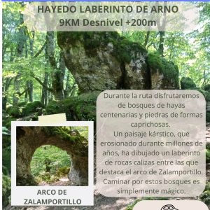 HAYEDO LABERINTO DE ARNO (Naturaleza para todos)