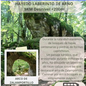 Hayedo del Laberinto de Arno (Naturaleza para todos)