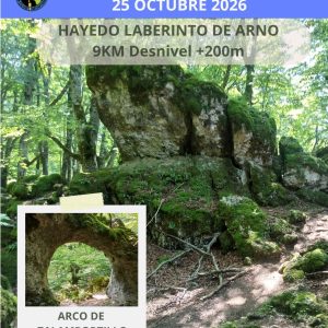Hayedo del Laberinto de Arno (Naturaleza para todos)